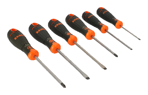 [B219.016] BahcoFit Tornavida seti, 6 parça. Düz ve Pozidriv vidalar için